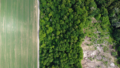 Aerial forest field green nature landscape environment agriculture contrast deforestation. Aerial view showing sharp contrast between lush green forest and cultivated agricultural field