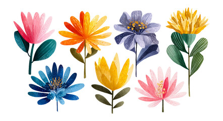 Colorful Isolated Flower Illustrations on Transparent Background for Design Use