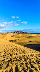 Golden sand dunes under a clear sky