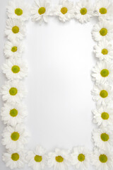 Flower frame of chamomile heads on white background. Vertical floral banner. Selective focus and copy space