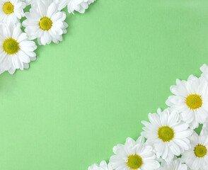 Diagonal floral frame with daisies on green background. Flower banner. Hello summer concept. Selective focus, copy space