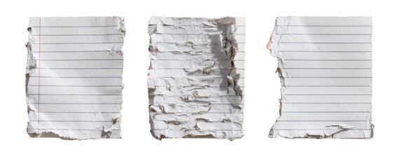 Three torn pieces of lined paper (3)