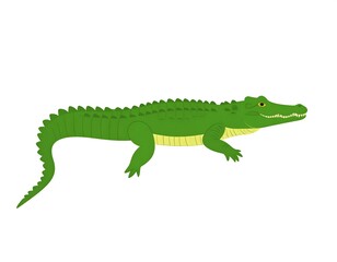 Naklejka premium A vibrant, cartoonish illustration of a crocodile, displayed against a plain white background.
