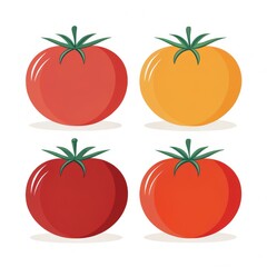 Fototapeta premium Four colorful tomatoes isolated on white background in a vector illustration