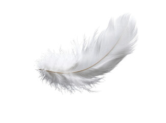 Single white feather, light and airy, delicate