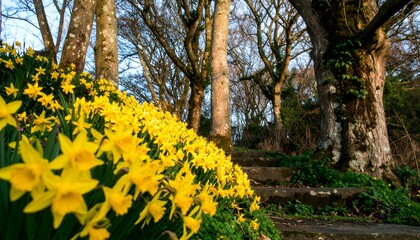 Spring flowers bloom in a sunlit woodland path
