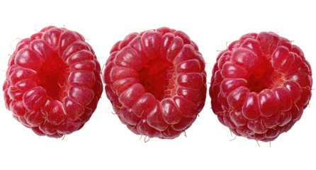 Three fresh raspberries in a horizontal row, top view, vibrant red