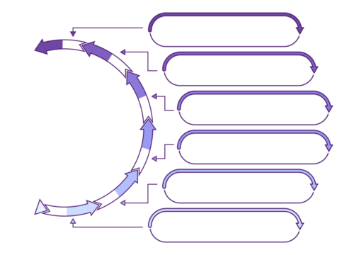 Infographic half circle 6 step