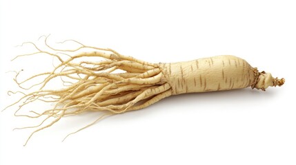 Unveiling the Intricate Beauty of a Ginseng Root: A Close-Up Study of its Unique Form and Texture
