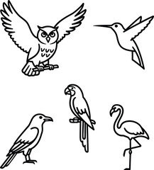 Birds and Avian Line Art Vector Illustration Set. Outline Icons of an Owl, Hummingbird, Crow, Parrot, and Flamingo. Wildlife and Nature-Themed Collection.