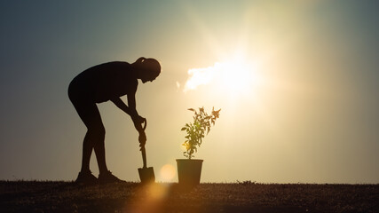 Silhouette of a Person Planting a Tree During a Sunset
