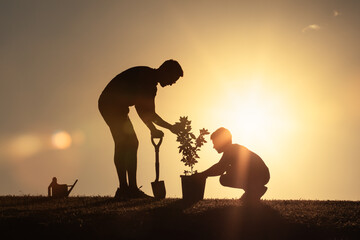 father and son  plant a tree, silhouette against a beautiful sunset, symbolizing growth, unity, and care for nature, caring for environmental and family themes