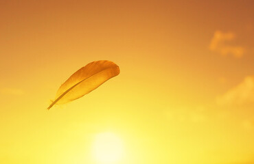 A single feather drifts gracefully against a backdrop of a warm, glowing sunset sky, symbolizing tranquility, lightness, and freedom.
