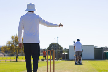 Cricket umpire and players signalling decision while standing on grass pitch with stumps