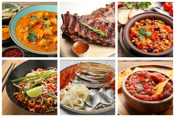 Collection of different dishes with savory taste, collage