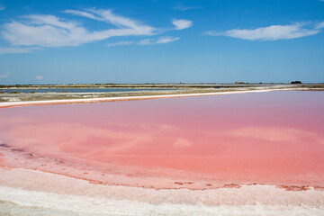 Aigues-Mortes Saltworks, Midi Saltworks Camargue Gard France