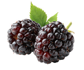 Close-up of two dark purple blackberries with green leaves