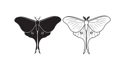 Luna moth pair with transparent background