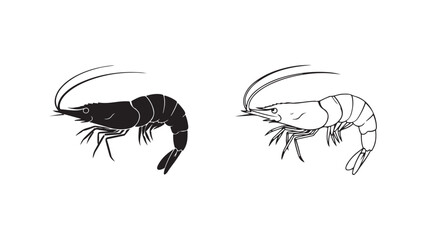 Shrimp outline and silhouette with transparent background