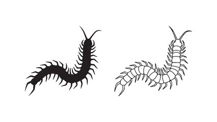 Centipede outline silhouettes with transparent background