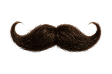 Man's mustache is shown in full length, with a lot of hair. 3d isolated illustration on transparent background