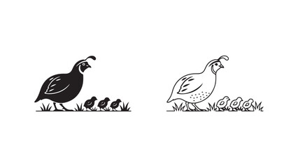 Quail with chicks in grass outline style © Galih