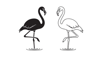 Flamingo pair outline style with transparent background
