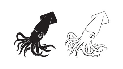 Squid outline and silhouette with transparent background