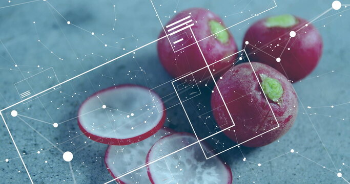 Displaying whole and sliced red radishes lying on gray-blue countertop with white geometric overlay - Powered by Adobe