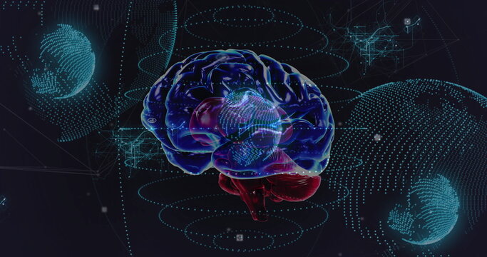 Glowing translucent brain model floating in virtual data space with globe wireframes, data rings