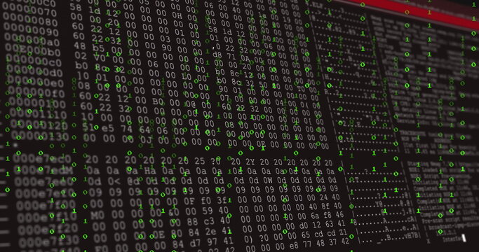 Showing computer display executing hex dump analysis at tech lab, with binary and ASCII columns