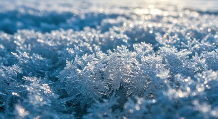 Obraz premium Closeup of intricate ice crystals on a frosty surface under sunlight