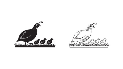 Quail with chicks in grass