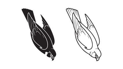 Falcon bird in flight with transparent background