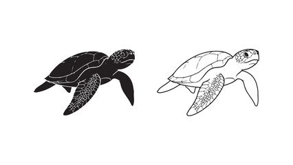 Sea turtle outline and solid black silhouette