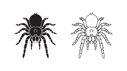 Spider outline and silhouette with transparent background