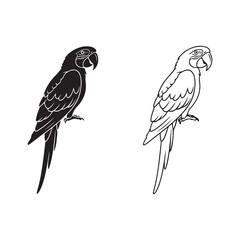Parrot outline and silhouette with transparent background