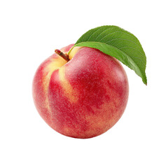 Close-up of a vibrant, round peach with a green leaf.  The peach displays a gradient of red and yellow hues, and a stem is visible