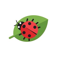 Obraz premium Cute Ladybug on Green Leaf Illustration