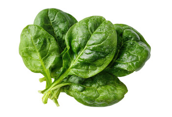 Fresh spinach leaves close-up