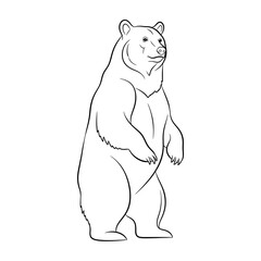Obraz premium Line Drawing of a Standing Bear for Coloring or Illustration