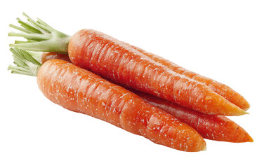 Fresh carrots, vibrant orange-red,  with green tops, close-up