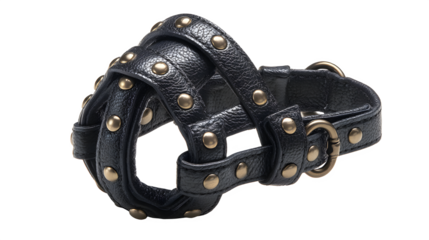 Black leather dog muzzle with brass studs isolated on transparent background