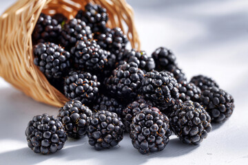Freshly picked blackberries spilling from a wicker basket onto a light surface in bright daylight