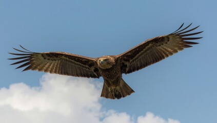 Obraz premium A majestic bird gliding in the air, wings spread wide, capturing the essence of freedom and grace generative ai