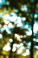 defocused lights background