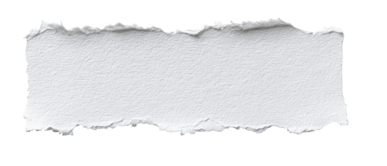 A ripped piece of white paper (1)