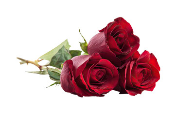 Three vibrant red roses, close-up,  on a dark background.  Deep crimson petals, lush and full.  Green foliage visible, stems slightly visible.  Isolated, displaying a romantic, elegant aesthetic