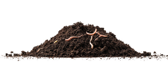 Pile of dark brown soil with several red-pink worms