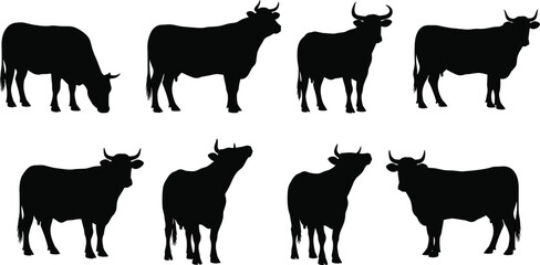 Silhouetted bulls in various poses, horn and posture diversity, black and white vector illustration for livestock design and anatomy reference